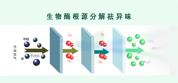 武漢除甲醛,武漢甲醛治理,武漢除甲醛公司,綠快異味分解酶2.0